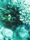 Thumbs/tn_Israel_Day4 034.jpg